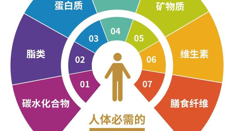 营养品品牌代理加盟价格